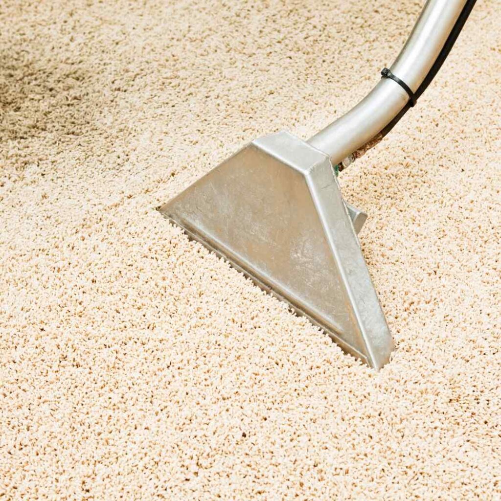 Carpet cleaning with a steam extractor tool.